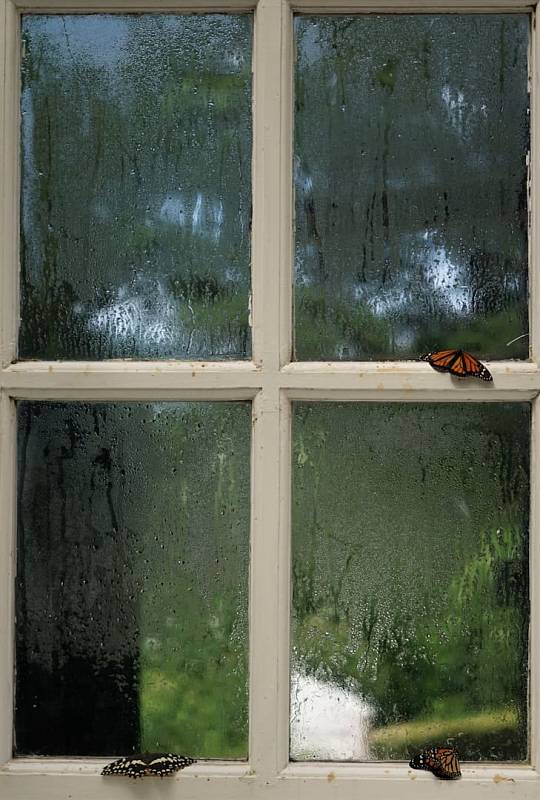 Photo by Nancy Hughes
