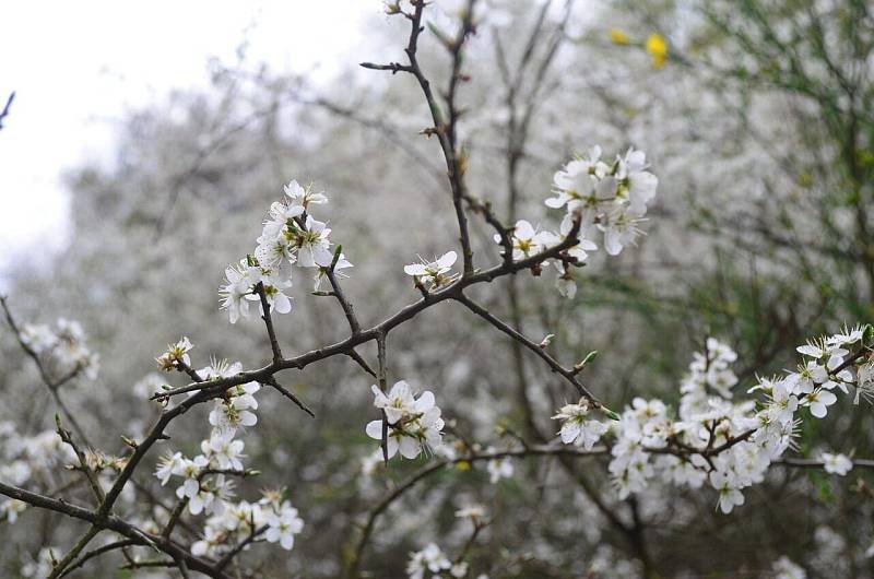 Photo by wolfganglucht