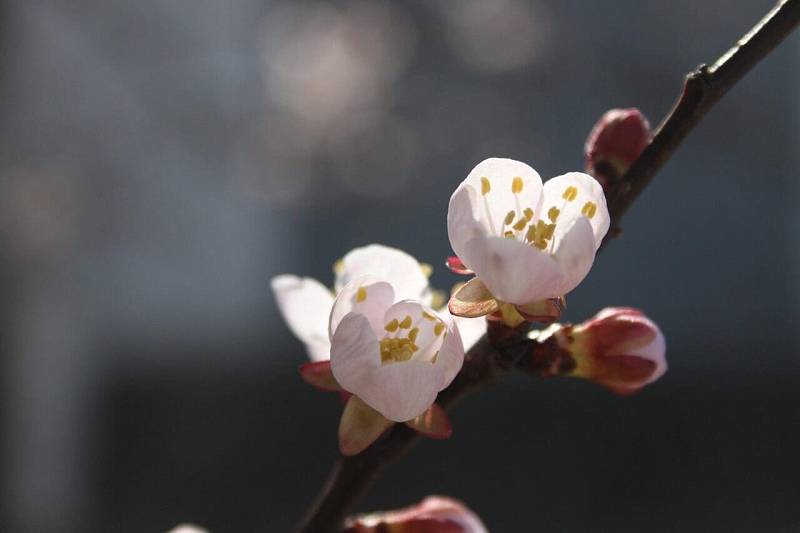 Photo by Penelope883