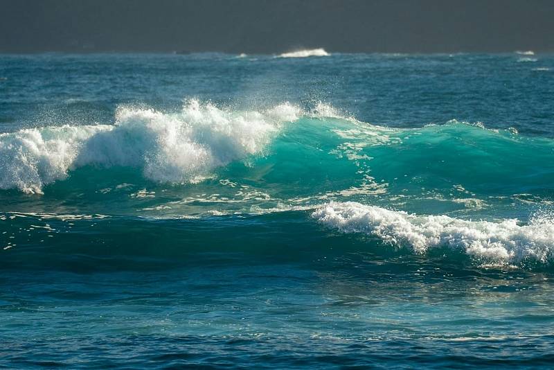 Photo by Atlantic Ambience