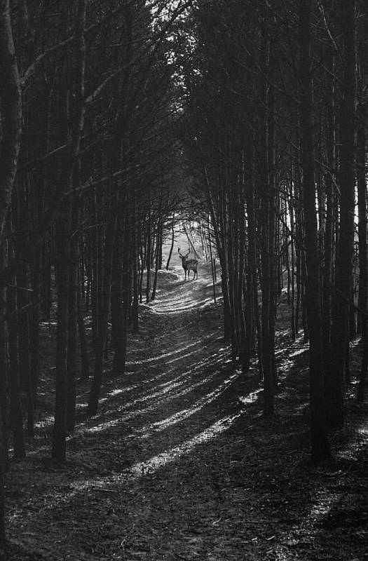 Photo by Tomasz Filipek