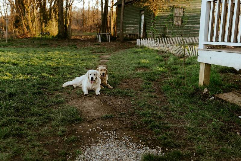 Photo by Shelby Pieper