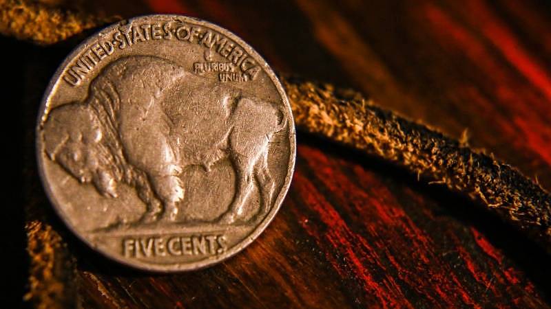 Buffalo Nickel mince