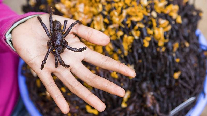 smažené tarantule