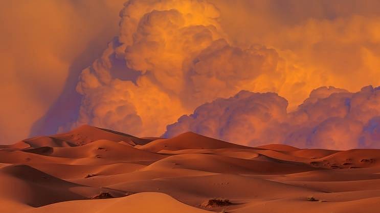 Sahara