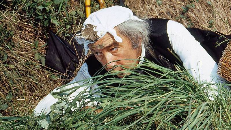Slunce, seno a pár facek