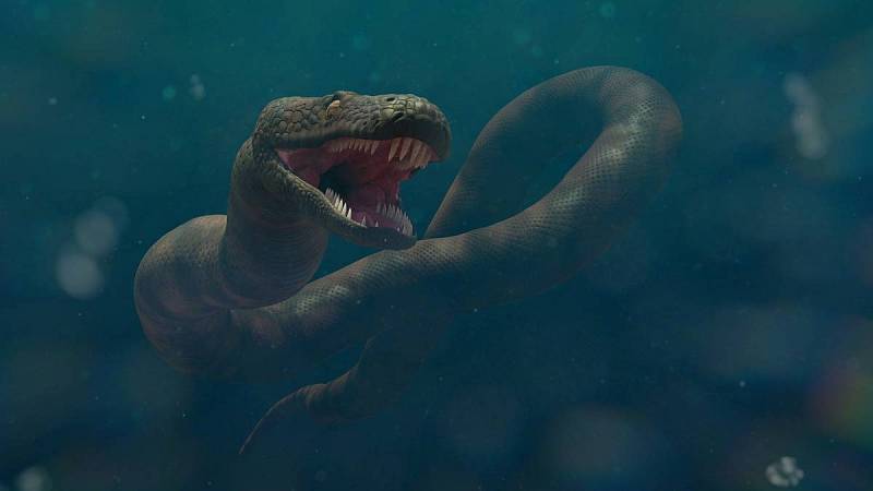 Přesná podoba Titanboa není známá. Jeho pravděpodobnou délkou a váhou si zasloužil titul největšího hada, jaký kdy žil.