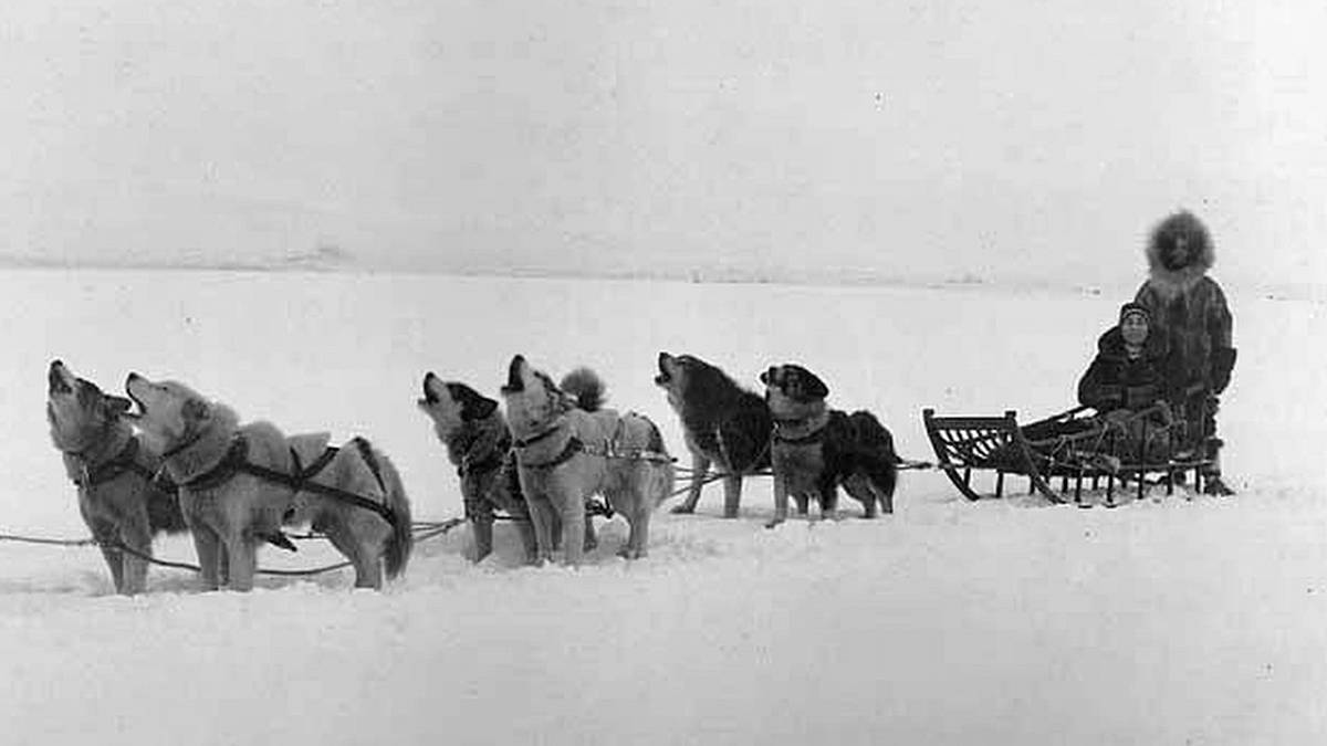 Zemře-li Inuit, ucpou mu levou nosní dírku, zabijí jeho psy a položí je vedle hrobu, zapřažené do saní