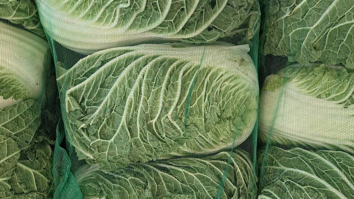 Inspektoři zjistili nadměrné množství pesticidů v oblíbeném ovoci a zelenině. Možná jste je koupili i vy