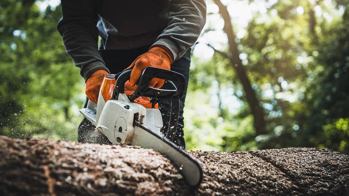 Češi, pozor: Kdo miluje nářadí Parkside z Lidlu, měl by vědět jednu zásadní věc