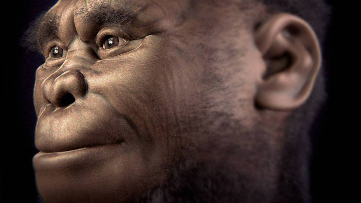 Vědec tvrdí, že je možné v Indonésii najít humanoida, který tu původně žil asi před 50 000 lety