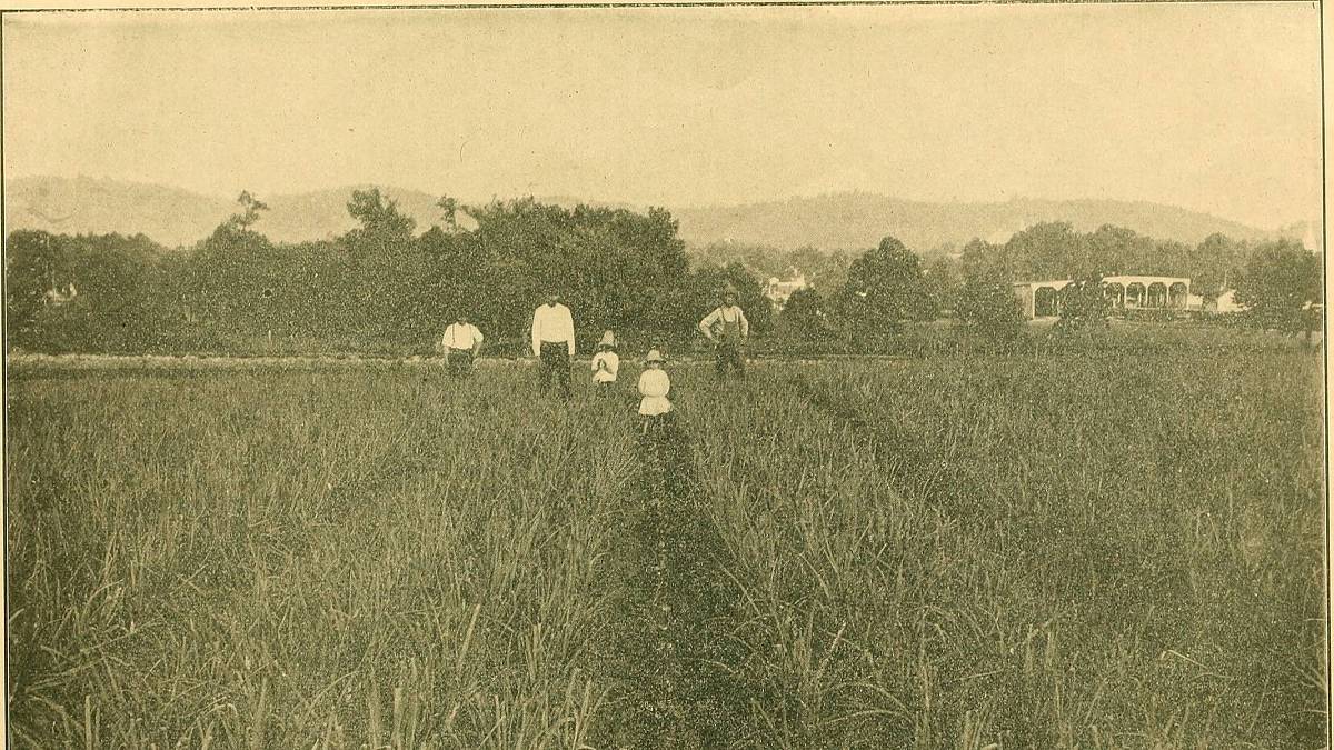 V roce 1854 doslova zmizel farmář v Selmě, v USA. Nebylo na tom nic až tak divného, kdyby se to nestalo před zraky celé rodiny