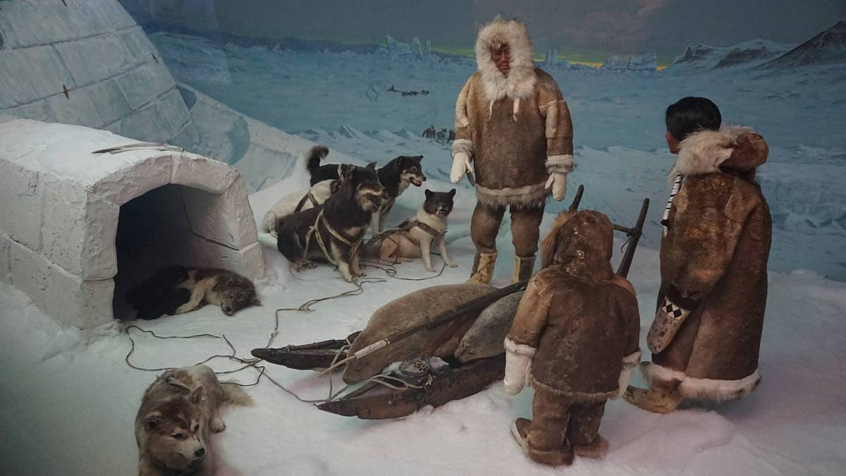 Kvíz: Inuité jsou fascinující národ, který si udržuje své unikátní tradice. Přesvědčte se, kolik toho o nich víte