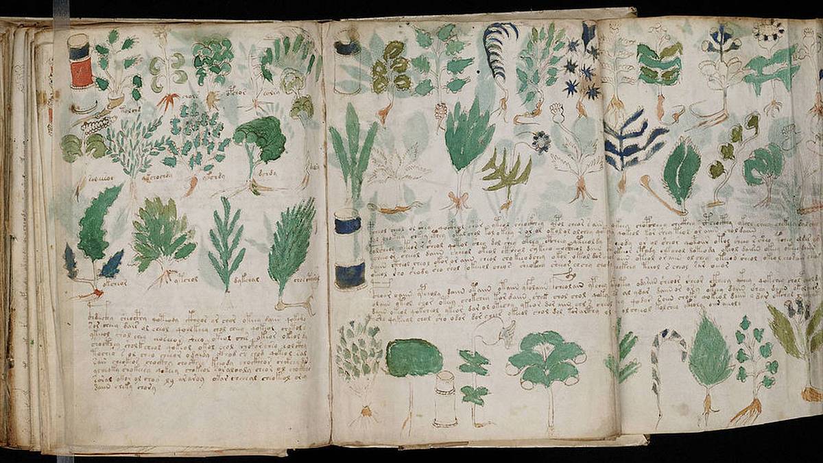 Kvíz: Voynichův rukopis – kryptografický rukopis plný záhadných ilustrací a textů