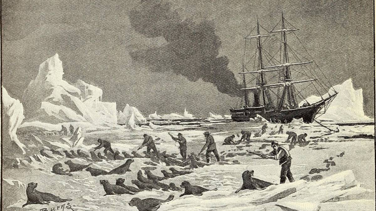 Sedmkrát kolonizované Grónsko z východu i západu: Jen jedni přežili a porazili Vikingy