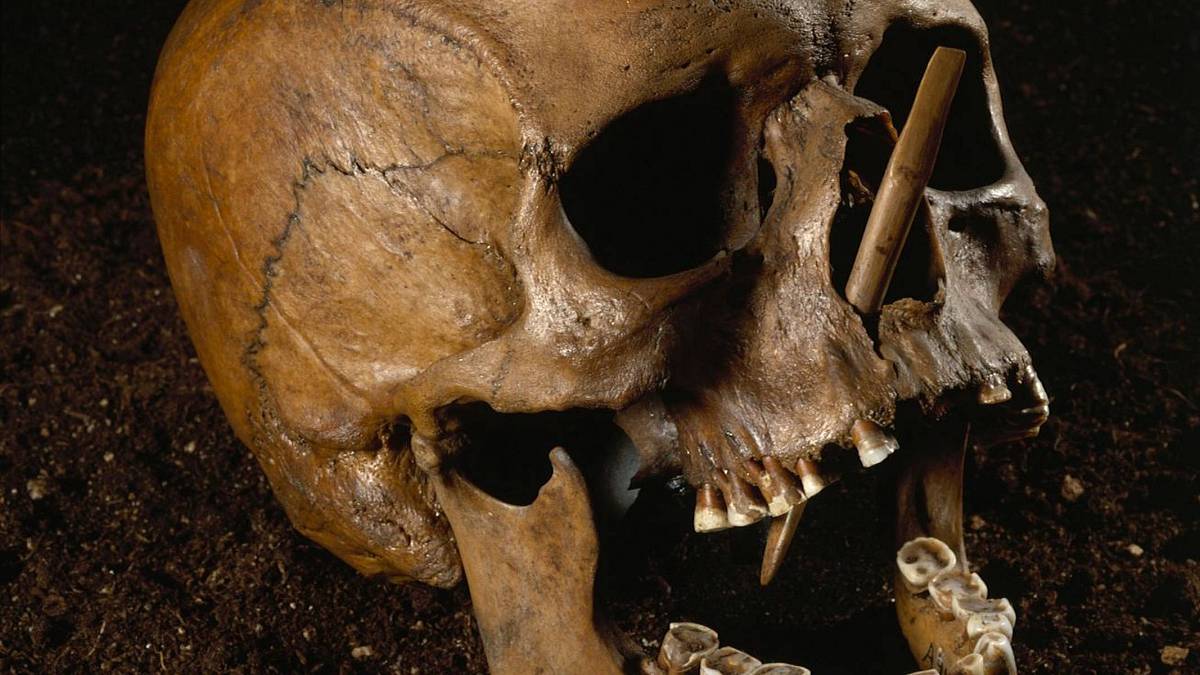 Muž z Porsmose: Bažina vydala oběť neolitické vraždy