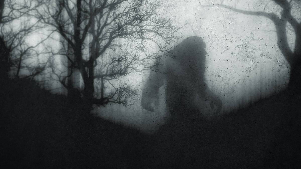 Bigfoot: Forenzní důkazy otevírají cestu k pochopení záhady