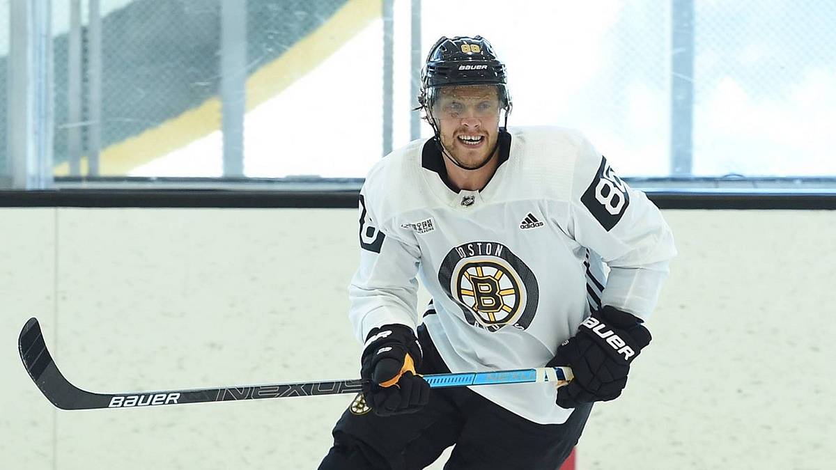 Tři čeští hokejisté v TOP 100 výdělků v NHL. Pod miliardu a půl nejdou, Pastrňák bral astronomickou částku