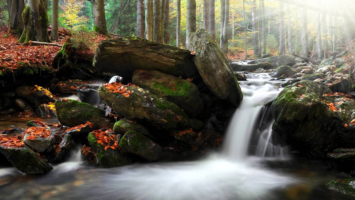 Klenot Českého ráje, o kterém nikdo neví: Skryté údolí s vodopády a dechberoucí přírodou, kam se turisté nehrnou