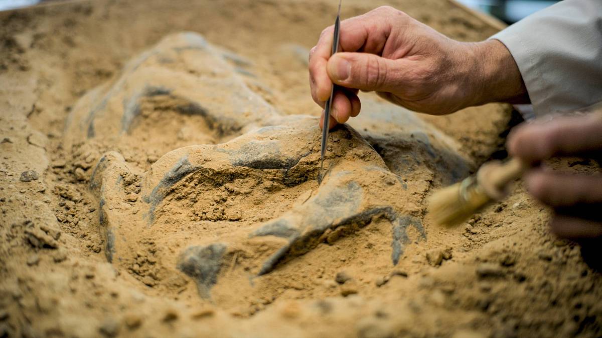 Záhadná odolnost střední Evropy: Proč zde lidé přežívali, když jinde ubývali