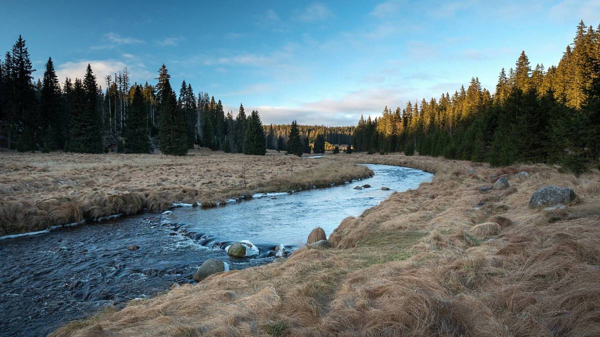 Ochránci přírody bijí na poplach. Nový zákon ohrožuje tuto oblast víc než kdy dřív