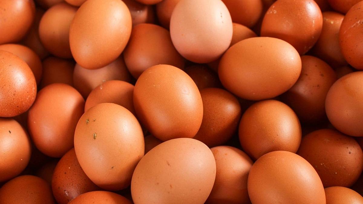 Téměř 250 000 českých vajec musí z trhu. Jsou závadná a zdraví škodlivá