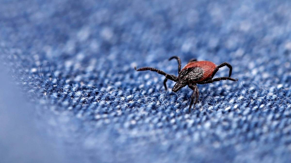 Většina Čechů tuhle mapu ignoruje. A pak si z přírody odnášejí suvenýr, který nikdo nechce