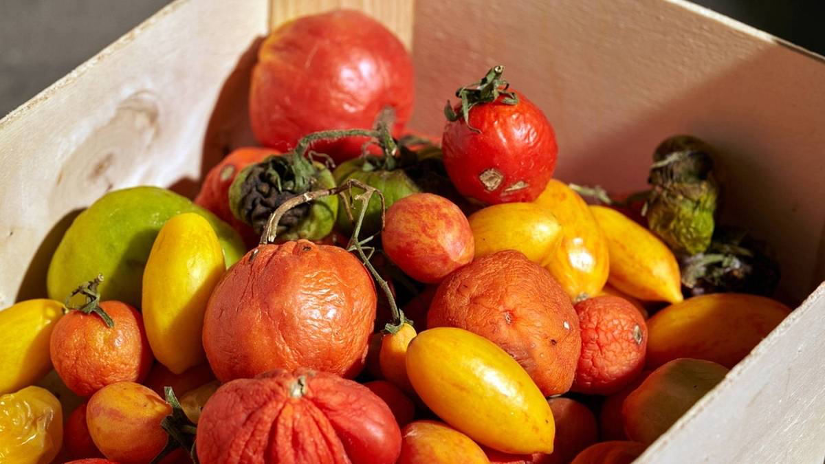Češi přeplácí za potraviny, které jsou o pár hodin později skoro zadarmo