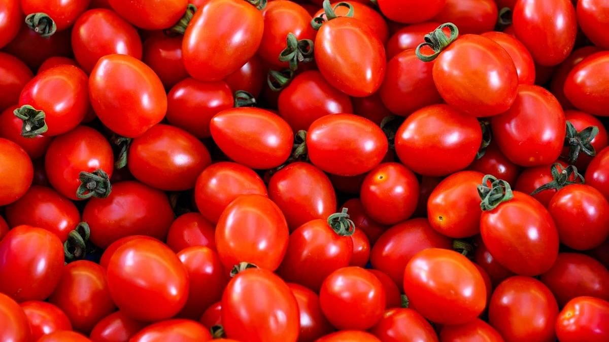 Supermarkety trhají cenu paprik a rajčat, přináší první česká letní jablka