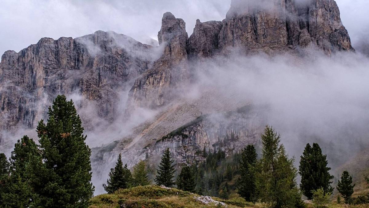 Rodiče odešli nakrmit krávy, už nikdy se nevrátili