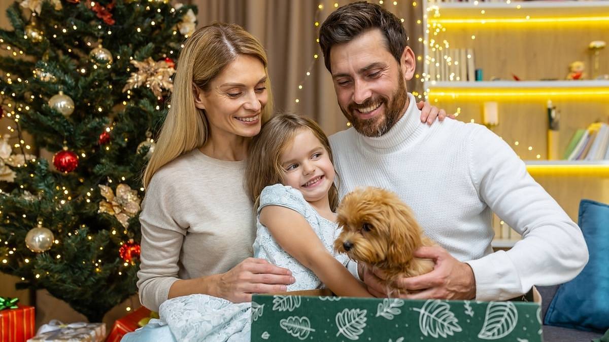 Živý dárek pod stromečkem: Radost na chvíli, starost na roky
