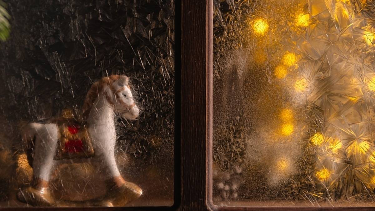 Vánoce budou mrazivé, vytáhněte rukavice, se sněhem je to loterie půl napůl
