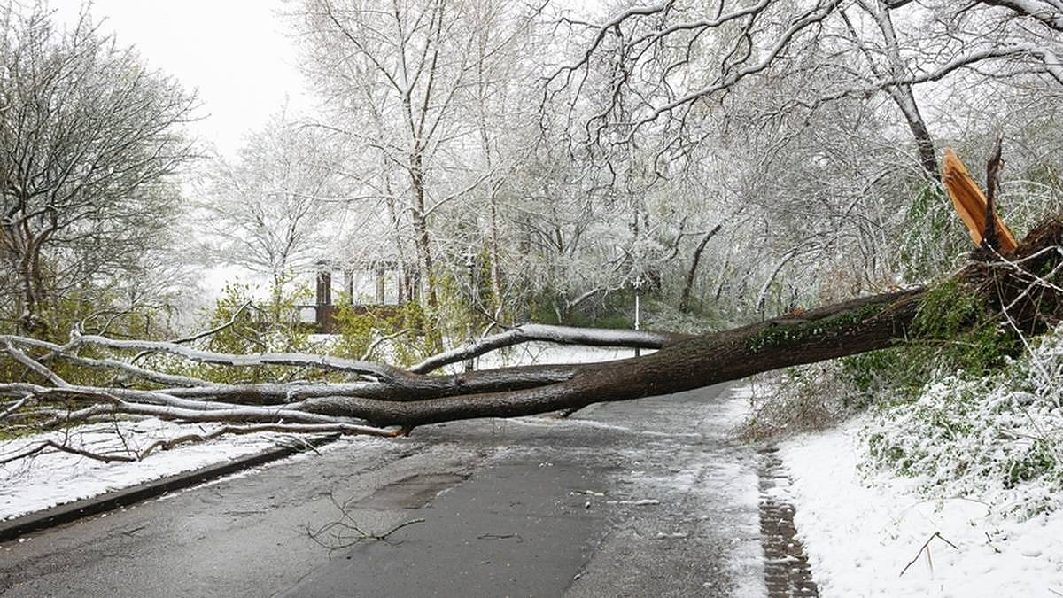 Na Česko se žene ledové peklo. Meteorologové vydali varování pro 3 kraje