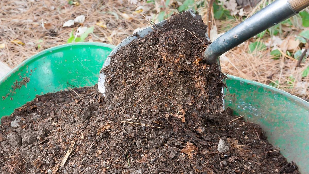 Každý, kdo má zahradu, může ušetřit tisíce za topení. V Německu a Rakousku tento trik funguje skvěle