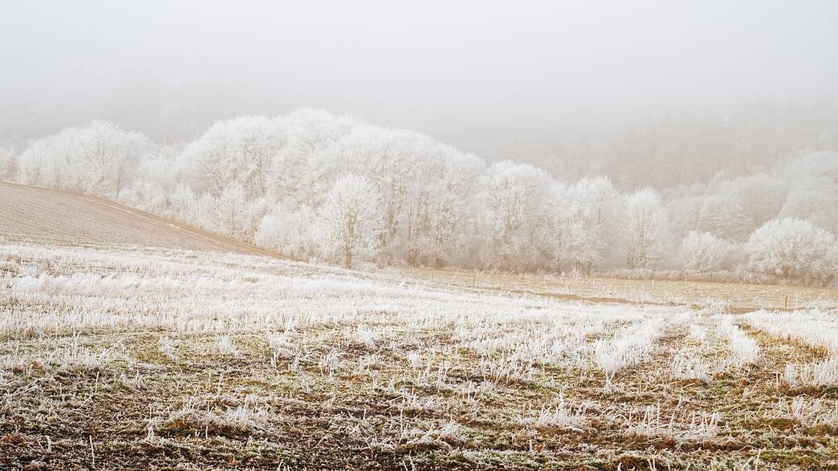 Meteorologové právě změnili předpověď: Na konci ledna se připravme na nejhorší