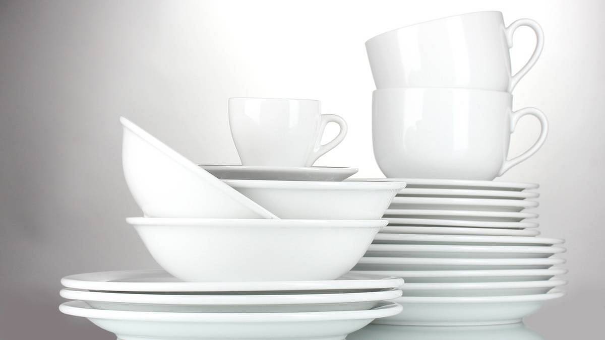 Kvalita, která vydrží: Proč je porcelán Rosenthal stále vyhledávaný