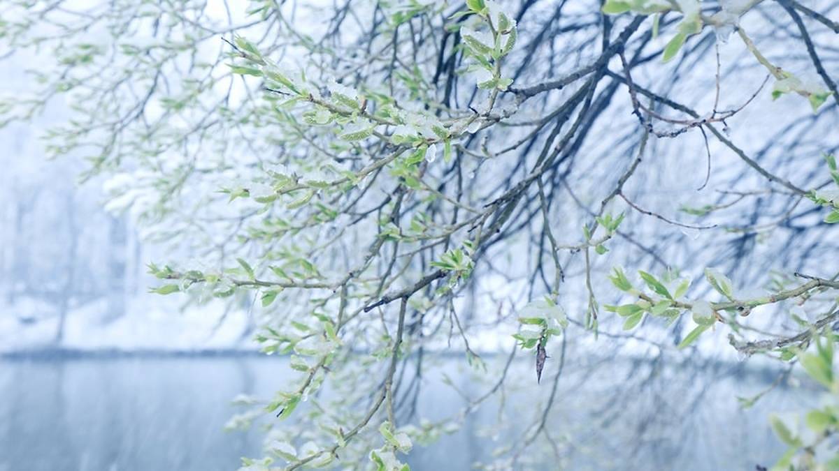Meteorologové právě změnili předpověď. Do Evropy vtrhl polární vír. Vrátí se sníh a mrazy