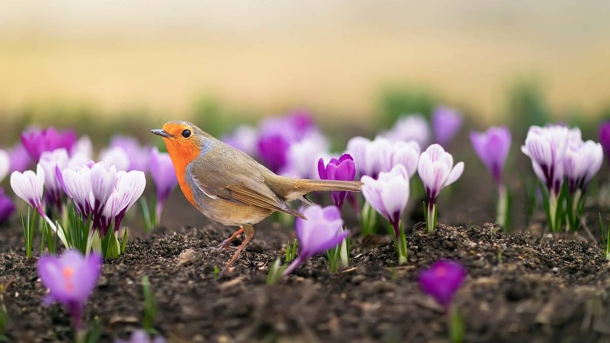 Meteorologové hlásí anomálii. V tomto týdnu zažije Česko počasí, které se vymyká všem statistikám