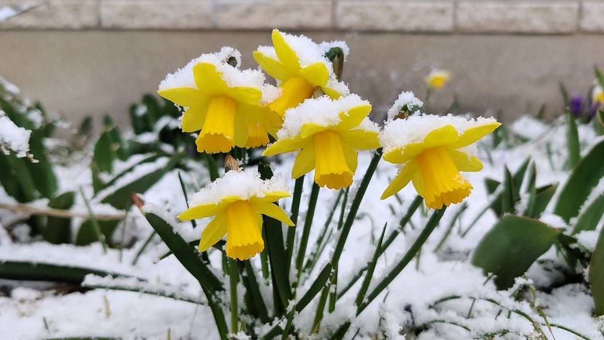 Meteorologové varují: Česko čekají nejpodivnější Velikonoce za 10 let. Extrém koledníky uvězní doma