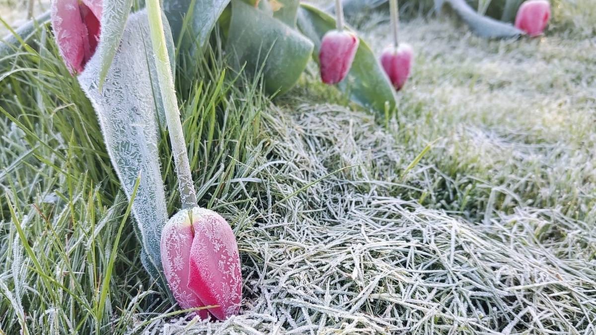 Na Česko se řítí pohroma. Takové počasí meteorologové v dubnu nečekali