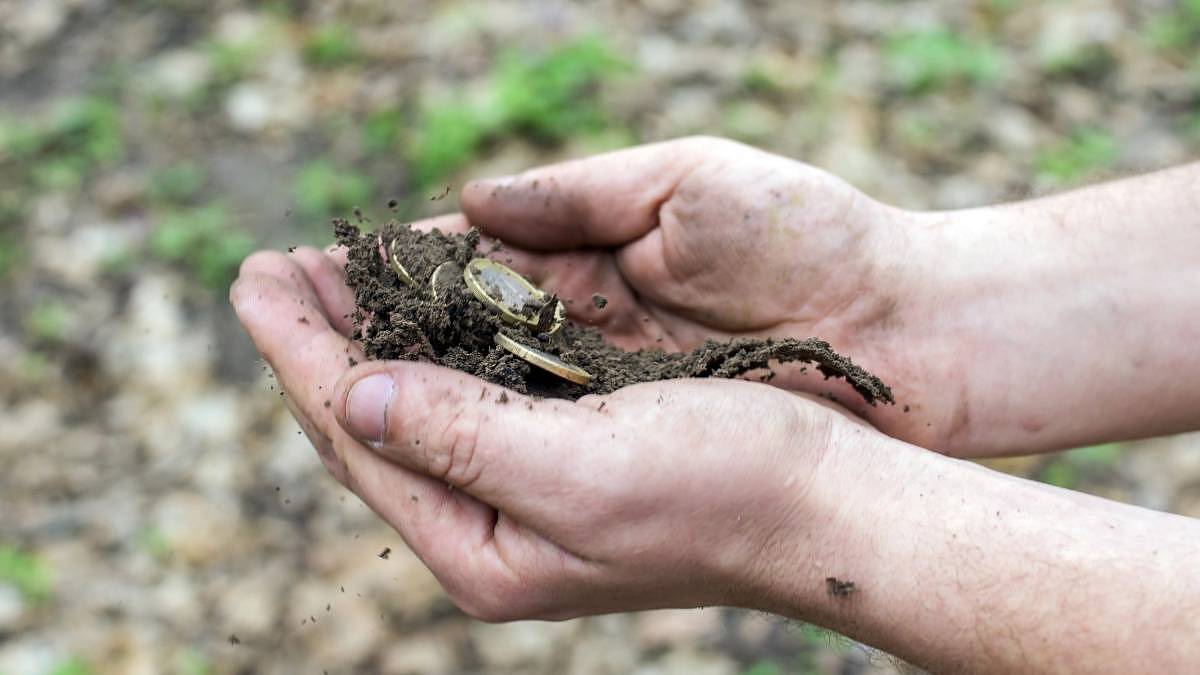 Muž z Písecka vyhrábl traktorem ze země vzácné mince. Poklad byl pro celou vesnici senzací