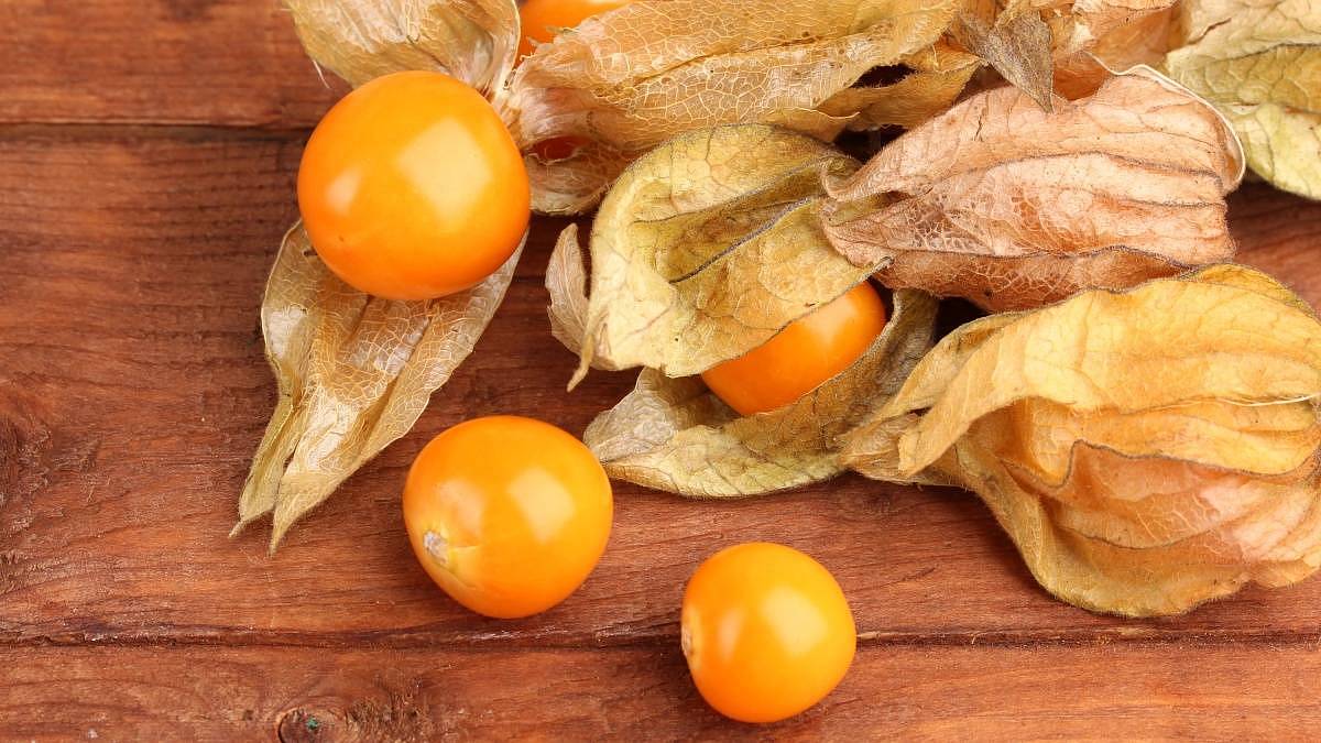 Rajčata jsou passé. Česko dobývá oranžový diamant. Chutná po ananasu a sklízí se v létě