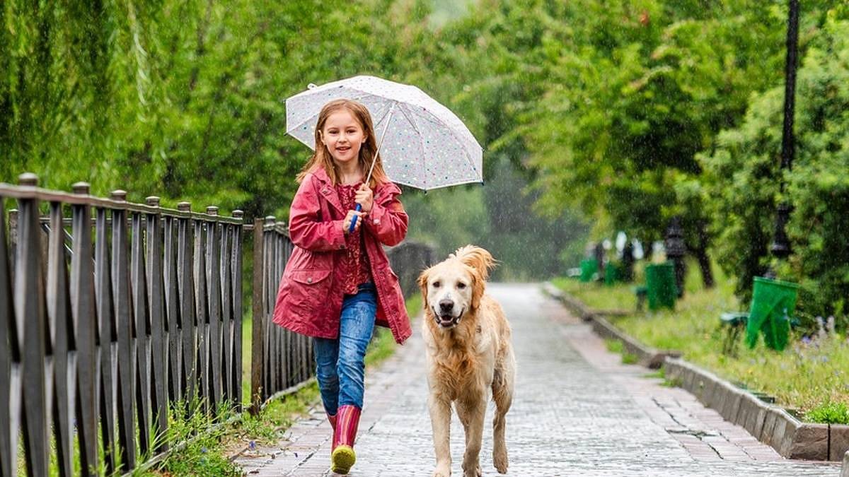 Předpověď na následující dny obrátí Čechům plány vzhůru nohama. To nejhorší přijde už po neděli