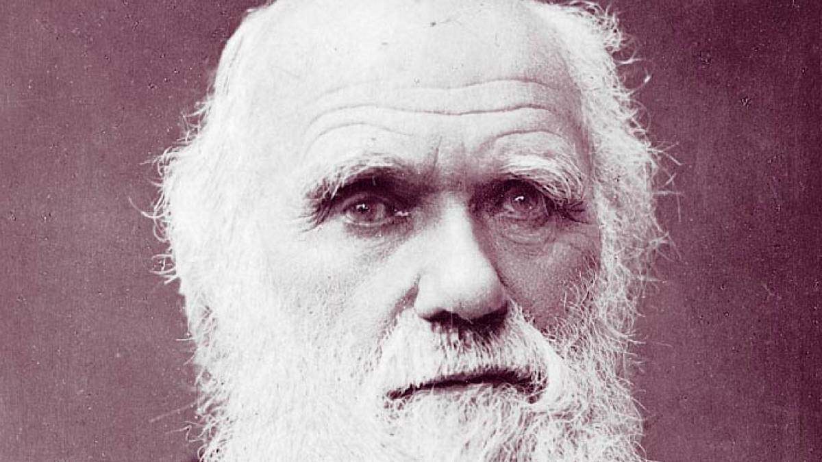 Charles Darwin byl geniální objevitel. Jeho teorie změnily svět, ale zajistily mu i mnoho nepřátel Charles Darwin byl geniální objevitel. Jeho teorie změnily svět, ale zajistily mu i mnoho nepřátel