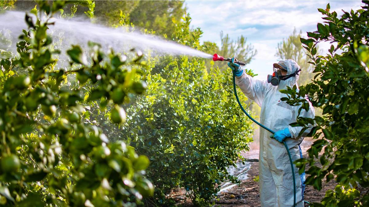 4. místo v EU: Česká republika snížila prodej pesticidů téměř o čtvrtinu