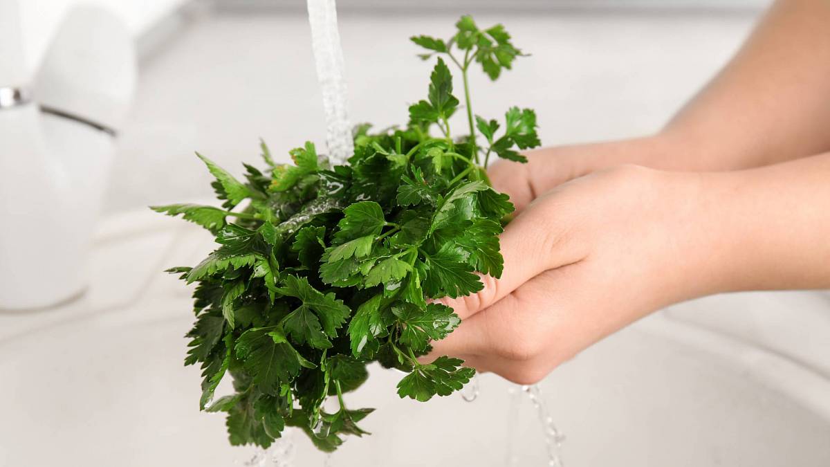 Vyčistěte si ledviny: Voda plus jedna rostlina - nejúčinnější recept na odstranění solí a toxinů