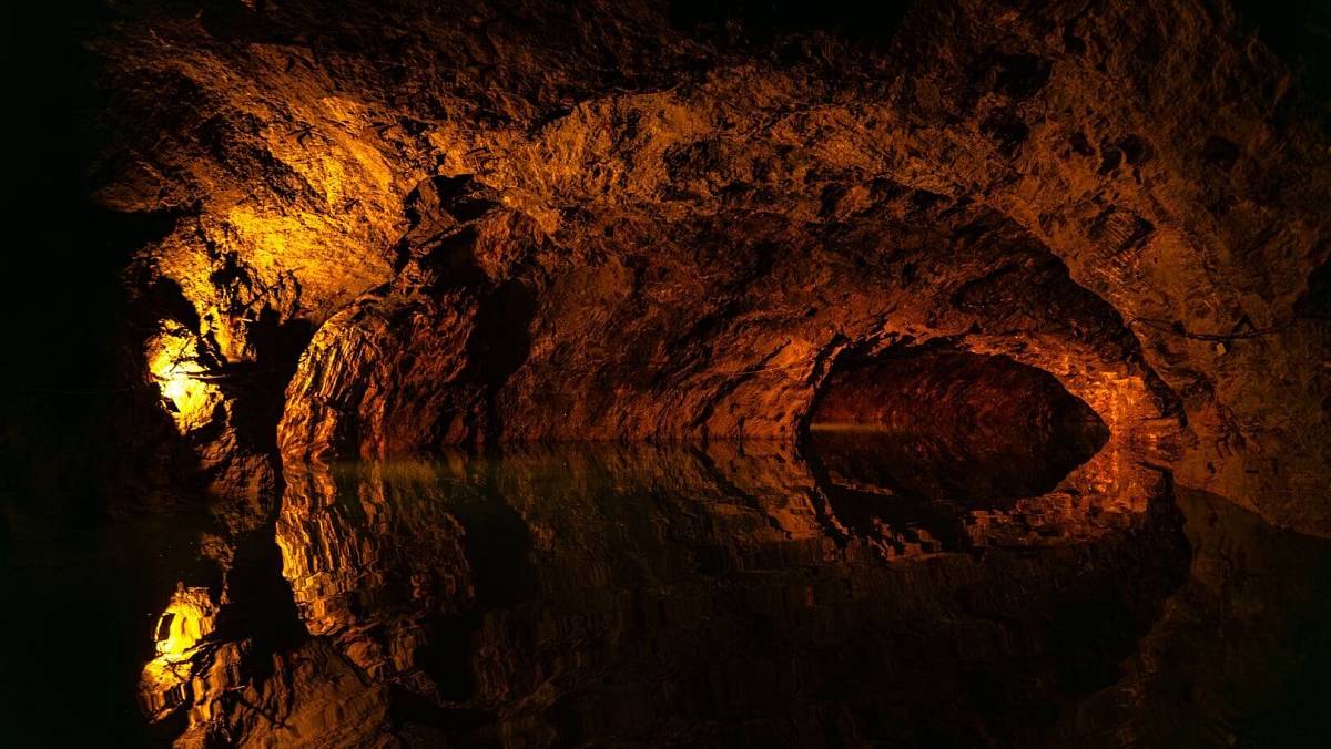 Pod vojenskou základnou v Alabamě žije průsvitná ryba bez očí. Vědci tento druh dosud neznali