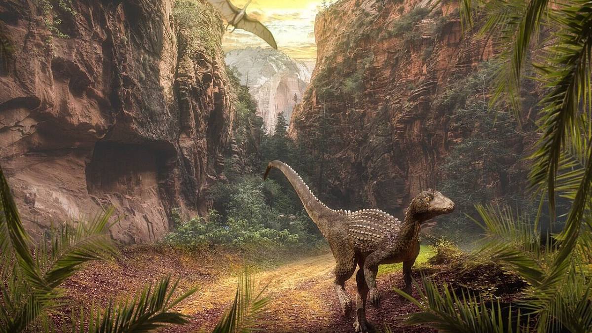 Podivné stopy v brazilské poušti zmátly vědce. Po boku dinosaurů žil zcela nečekaný tvor