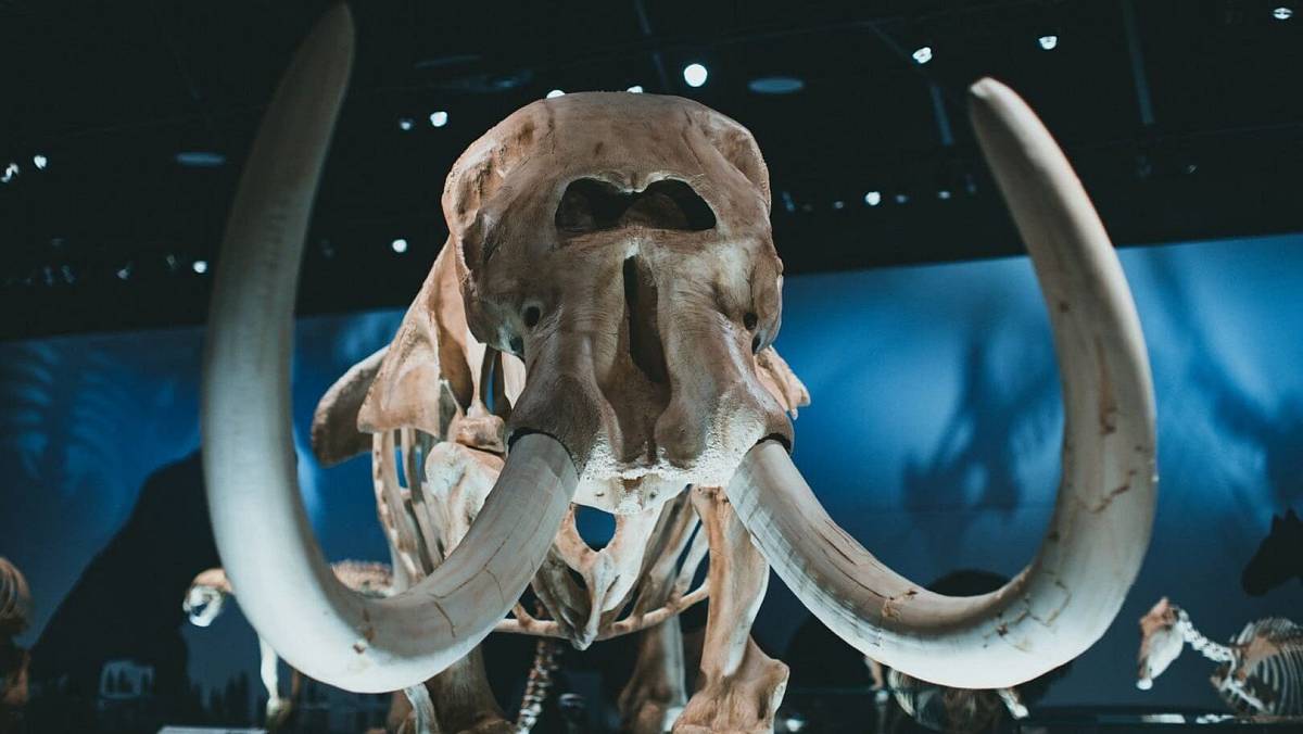 Tajemství, které skrývá vaše DNA: Pravda o původu Čechů je zajímavá
