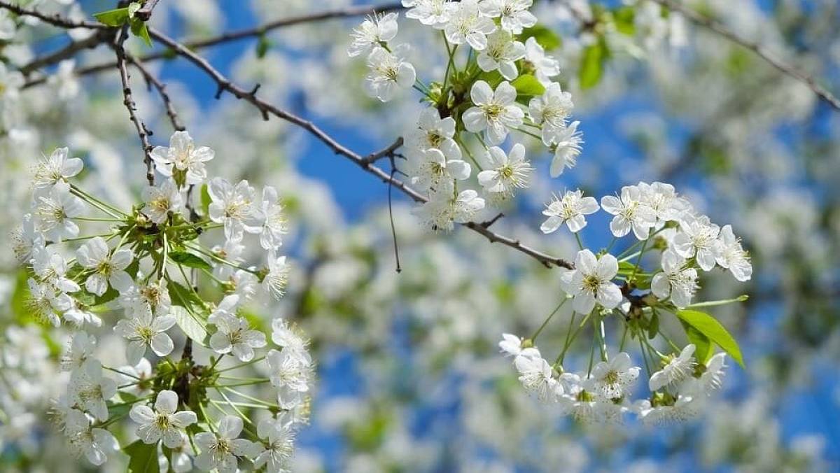 Tohle není vtip. Česko čeká teplotní šok, jaký meteorologové nepamatují
